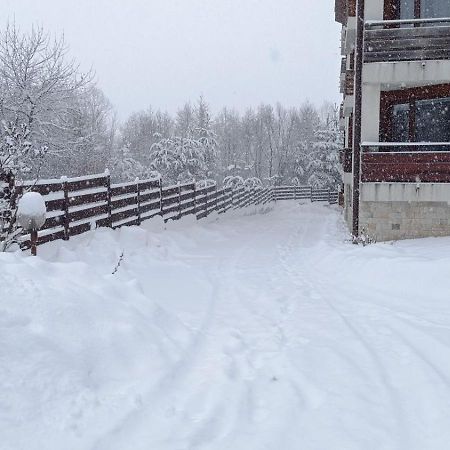 Apartment Detelina Residence Бансько Екстер'єр фото